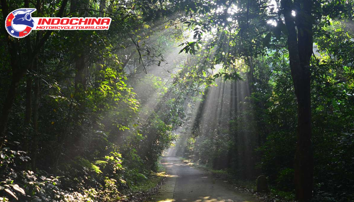 A visit to Cuc Phuong Forest is one of the TOP things to do in Ninh Binh