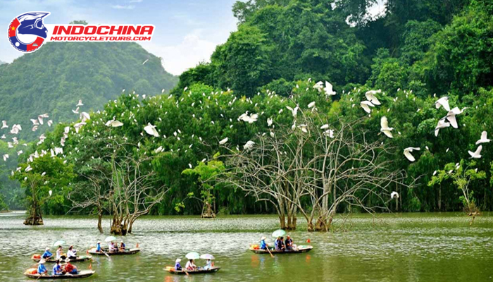 Admire the pristine beauty of Thung Nham eco-tourism area