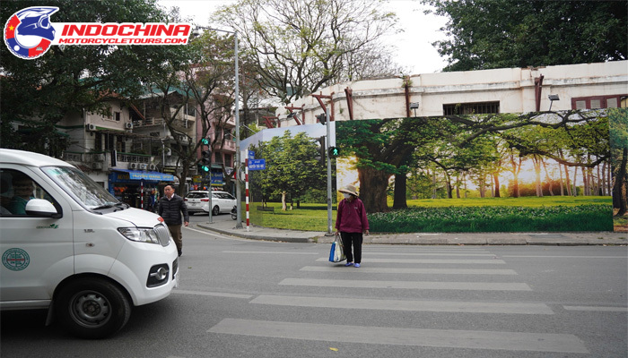 Cross the street when there is a signal light.