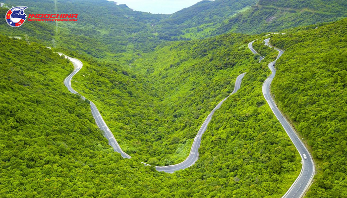 The summer is the best time to have an adventurous Hai Van Pass motorbike tour