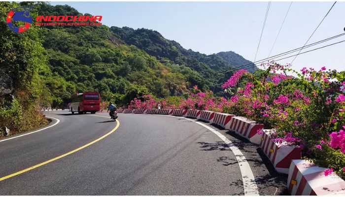 The 30 km long Cat Ba route gives tourists unique experiences