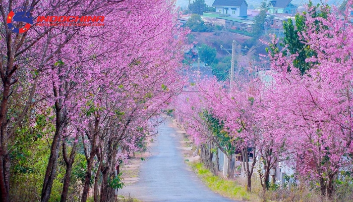 Stay prepared for Vietnam's varying weather conditions during your trip