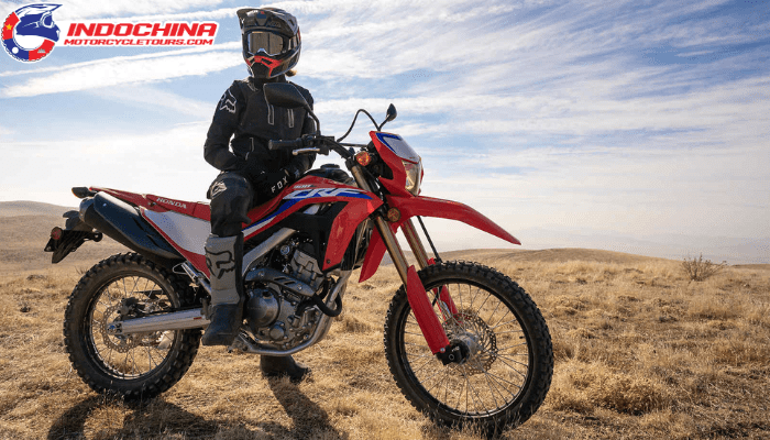 Honda CRF 300 - Dependable and adaptable.

