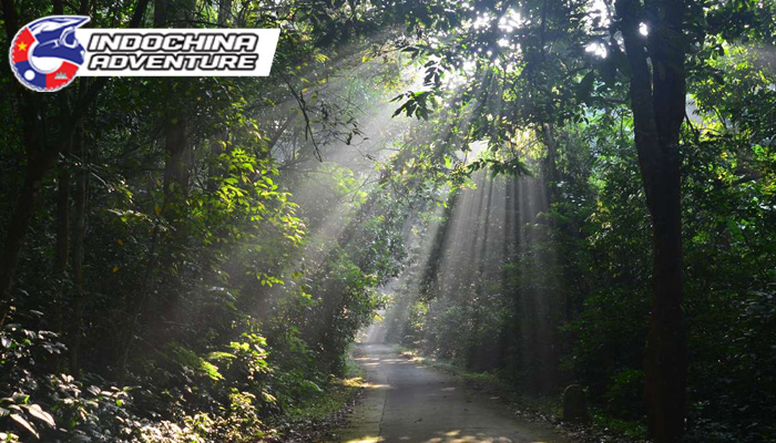 A visit to Cuc Phuong Forest is one of the TOP things to do in Ninh Binh