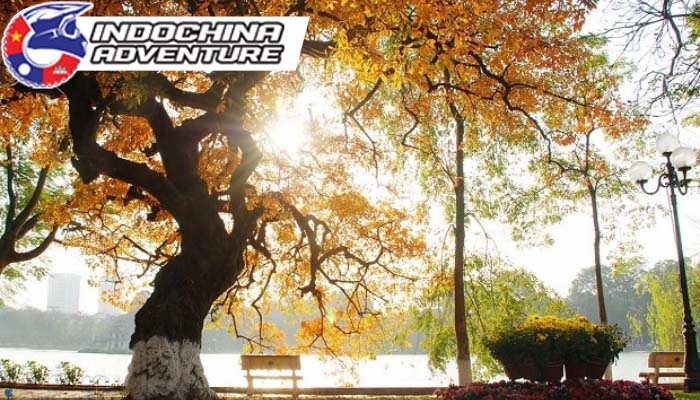 Travel to Hanoi in the Autumn season