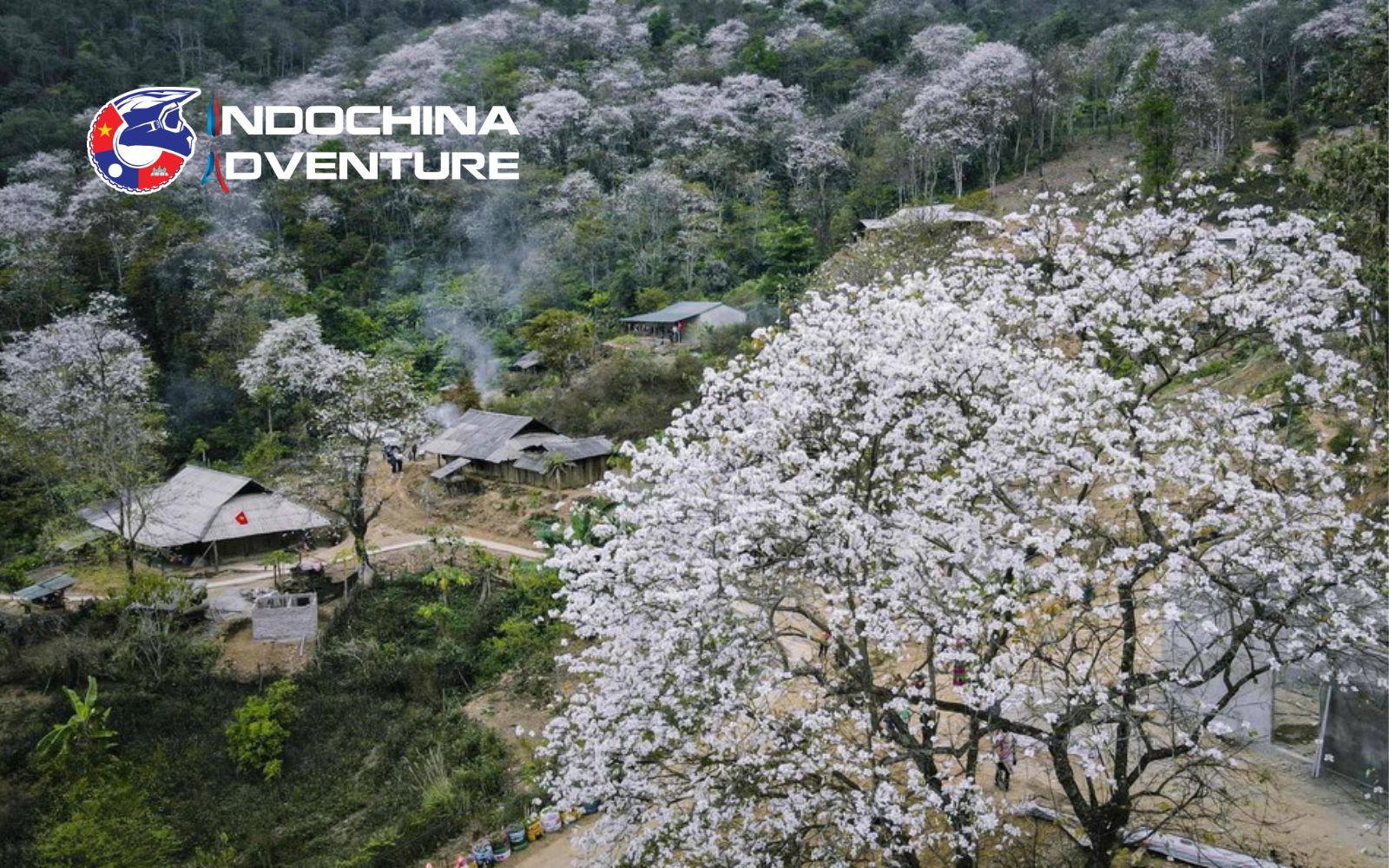 The Ban tree talks about fidelity in your love