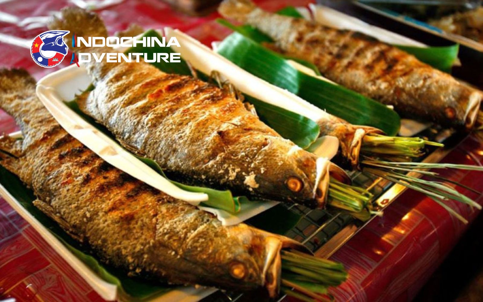 Cozy Café Atmosphere with Western-Inspired Treats