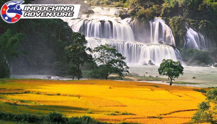 Savor the scenic views and local culture during Ban Gioc’s harvest time.