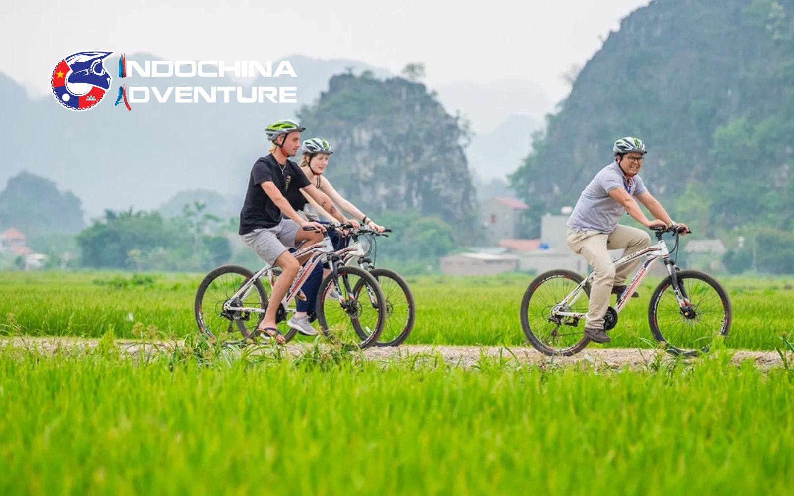 Cycling tour group pedaling through quaint villages and past lush tea plantations