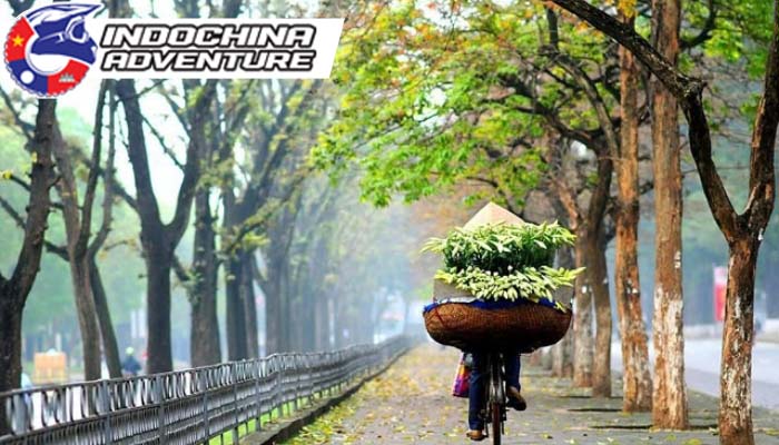 Enjoy the pleasant weather of these months