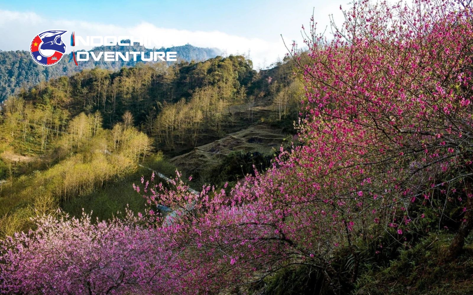 Beautiful spring in Ha Giang