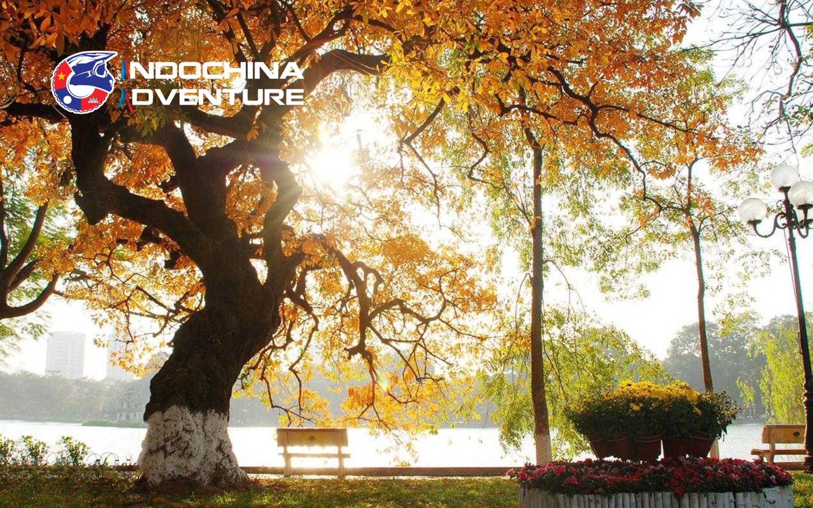 Travel to Hanoi in the Autumn season
