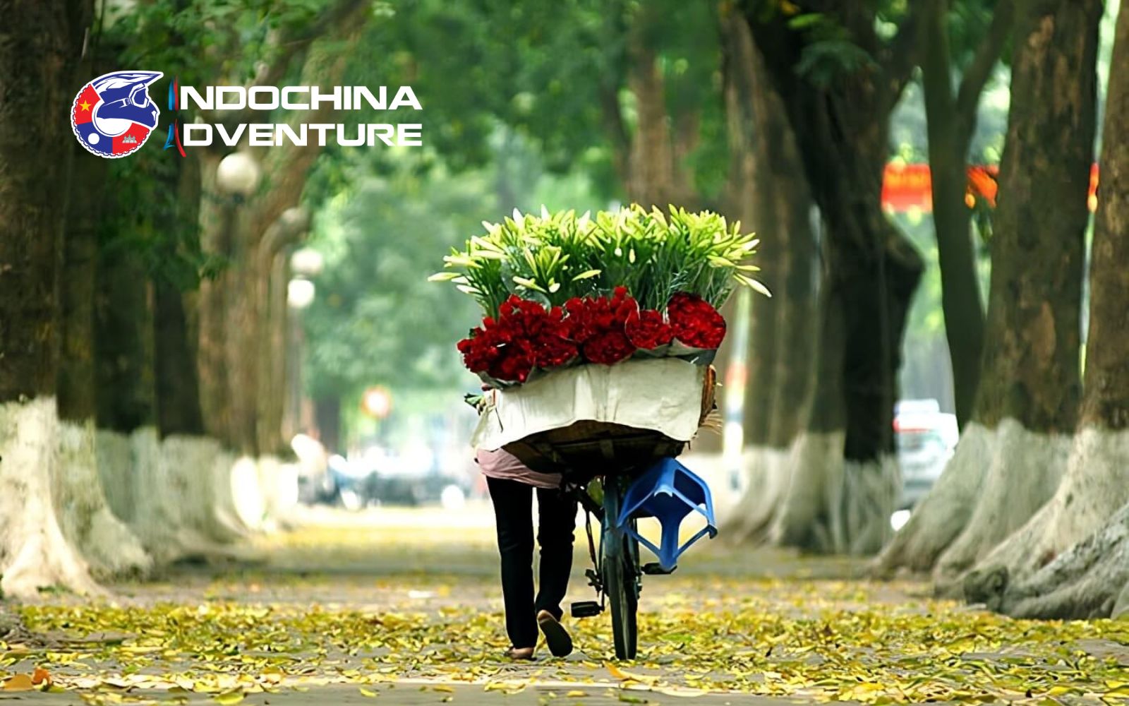 Enjoy the pleasant weather of these months
