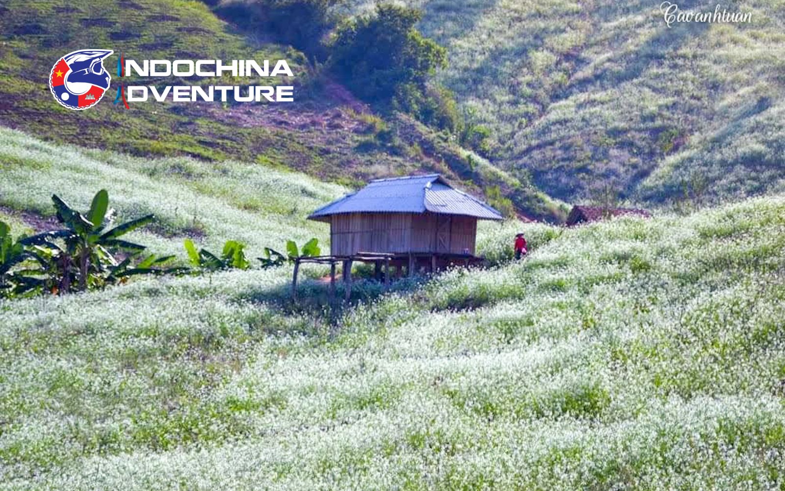 The beautiful Ba Phach Village with blossoming plum and peach trees