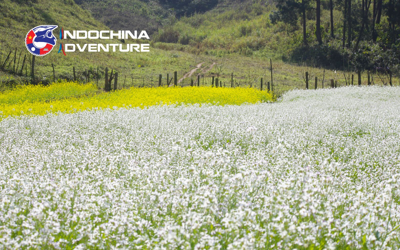 ​​Autumn is the perfect time for a scenic trek through the village's picturesque