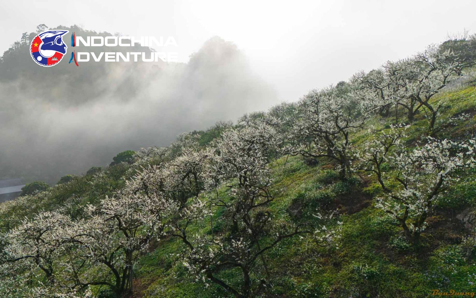 Na Ka Valley is a fragrant paradise in the heart of Moc Chau