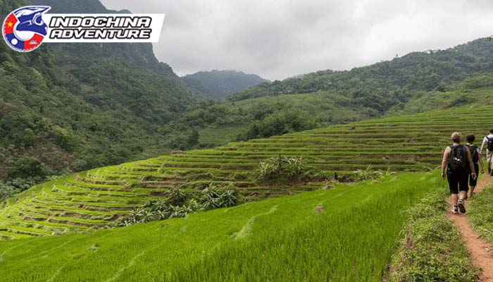 Outdoor Adventures Of Pu Luong