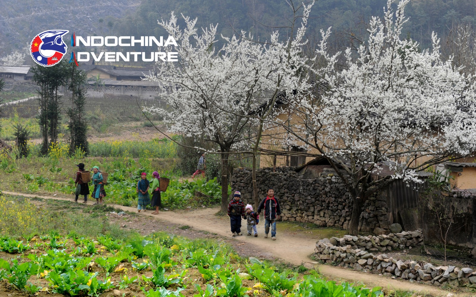 Cao Bang experiences a subtropical climate characterized by distinct seasons