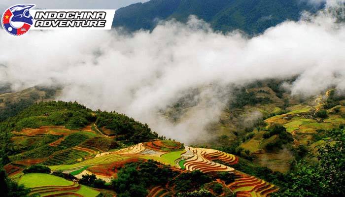 The beauty of Sapa