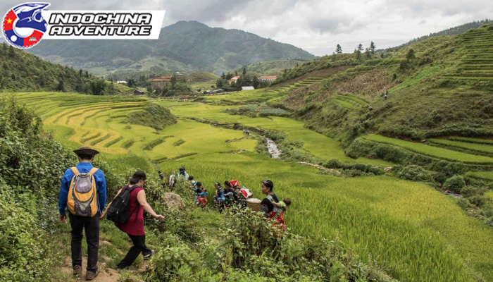 Wander through Vietnam’s untamed wilderness in Hoang Lien