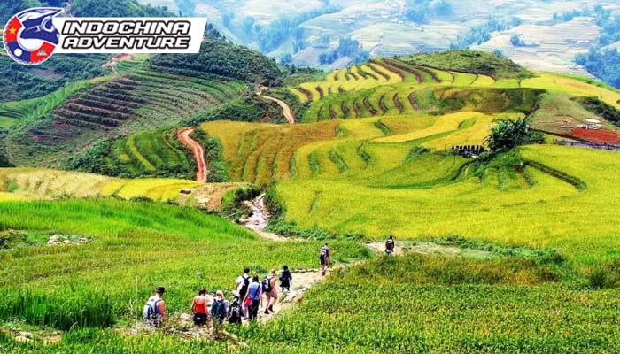 Discover authentic Black Hmong life in Sin Chai Village