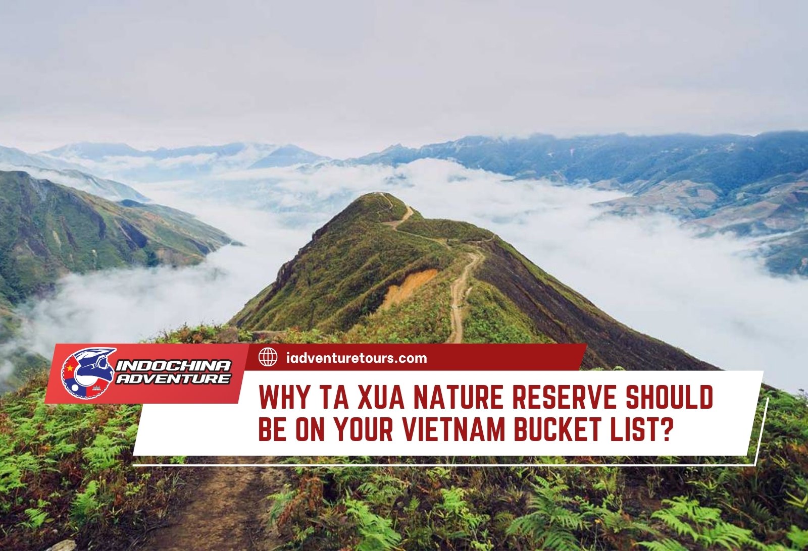 Ta Xua Nature Reserve