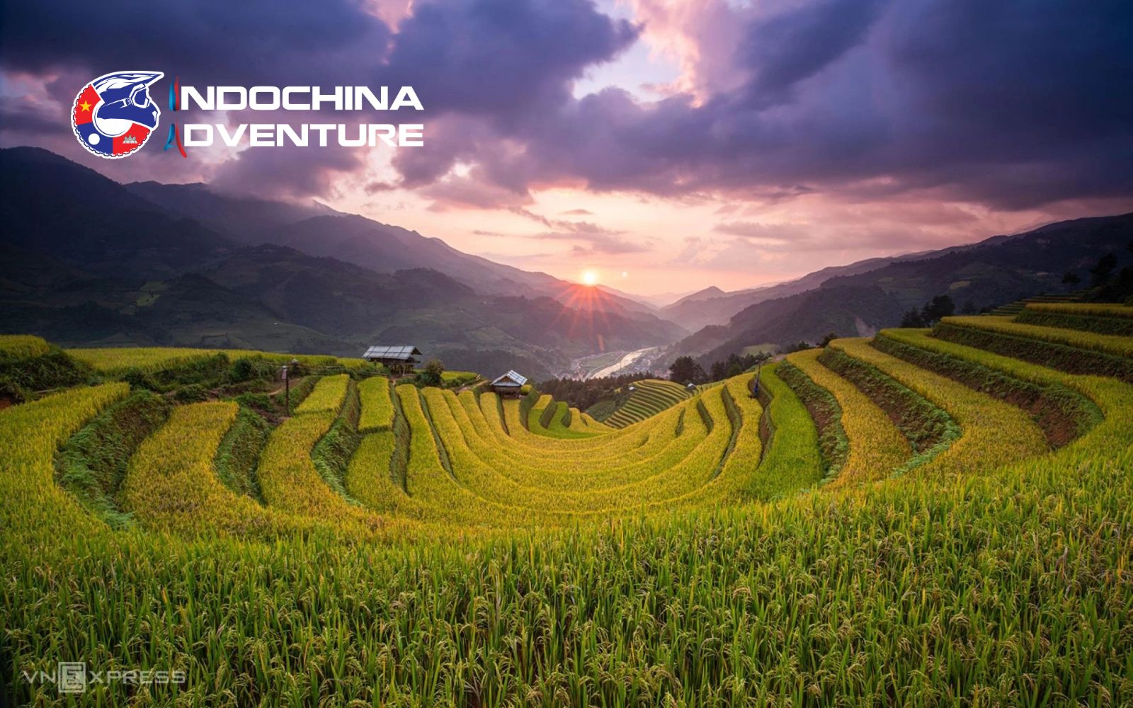 The terraced rice fields glow in a golden yellow hue