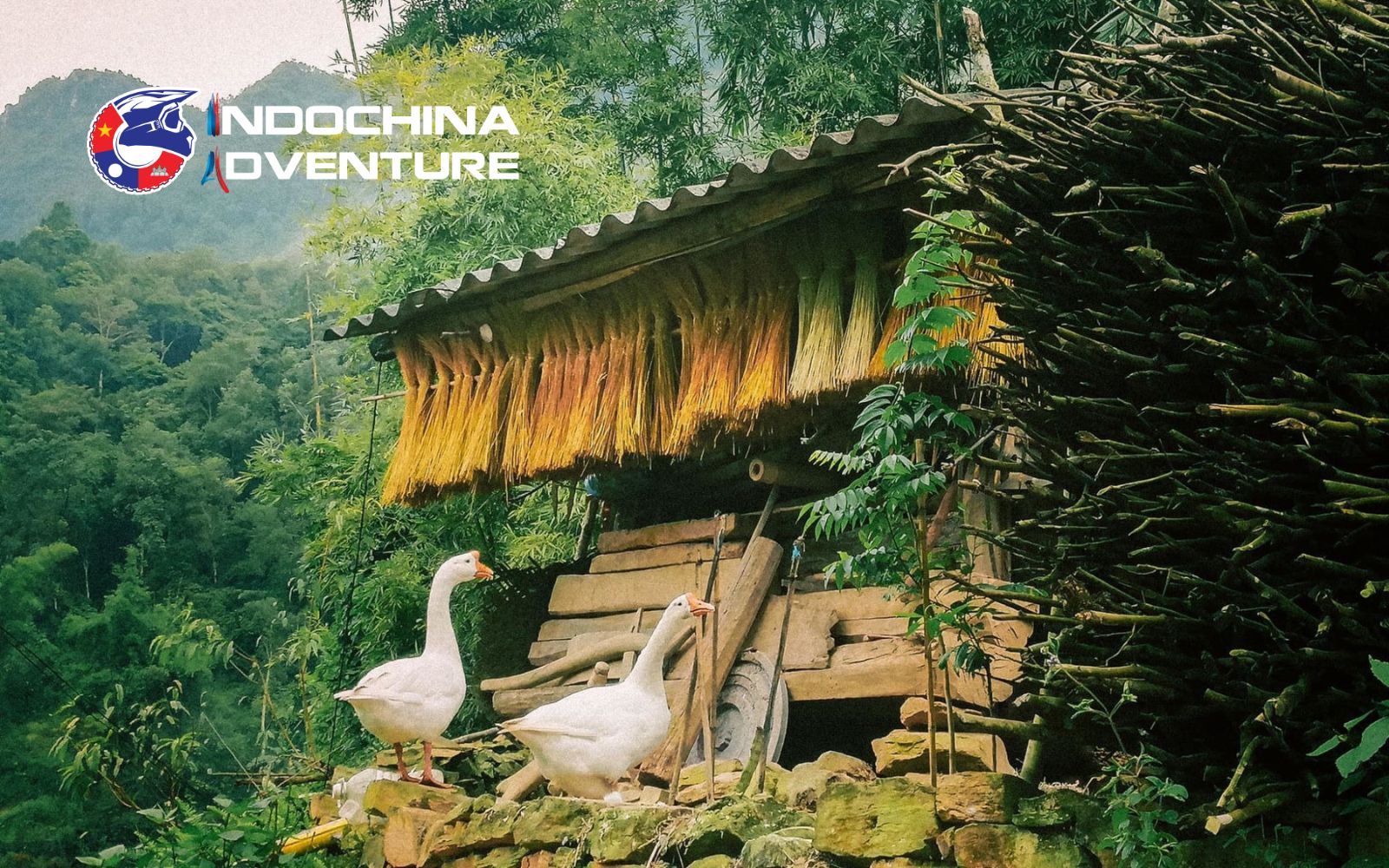 Thien Huong ancient village in Ha Giang attracts all tourists at first sight