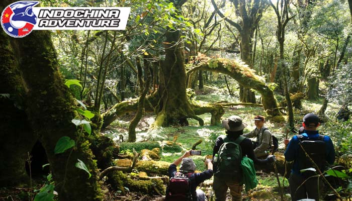 The Ta Xua Nature Reserve is an area of abundant biodiversity 