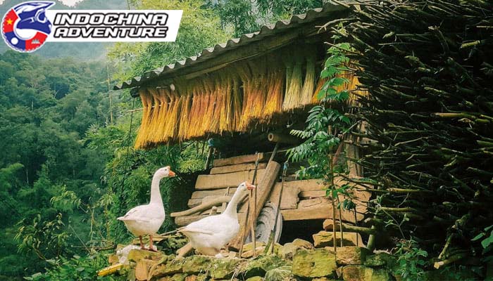 Thien Huong ancient village in Ha Giang attracts all tourists at first sight