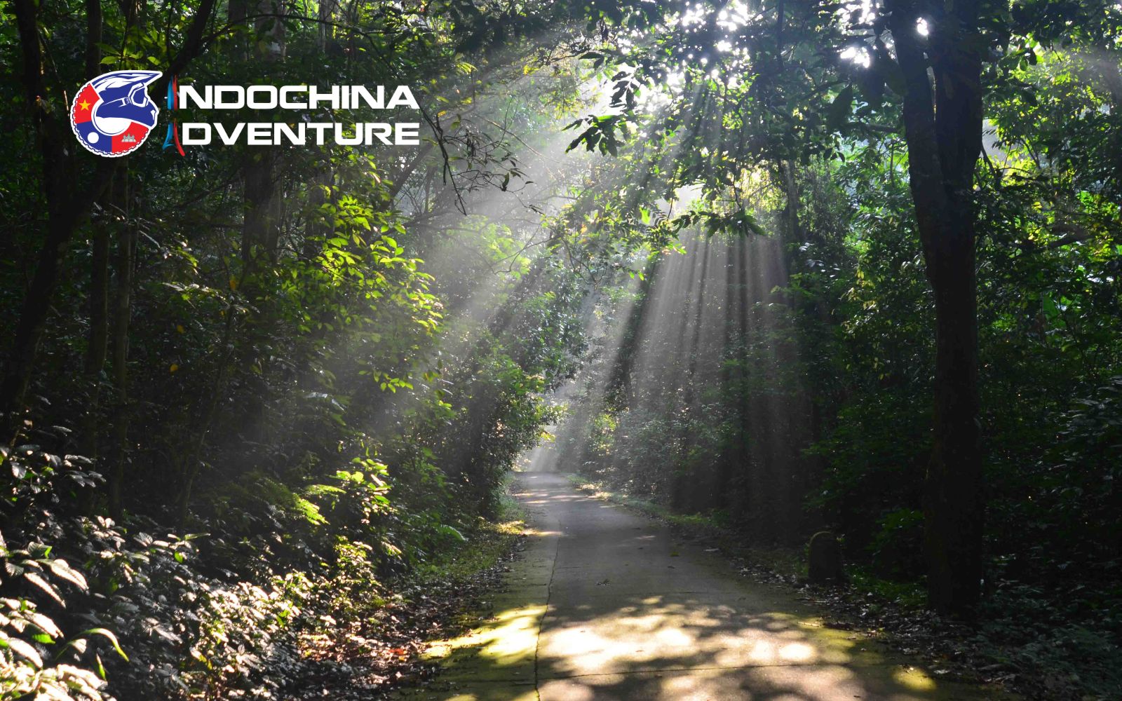 A visit to Cuc Phuong Forest is one of the TOP things to do in Ninh Binh