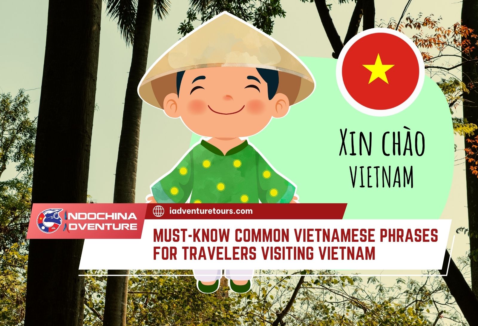 Top Common Vietnamese phrases