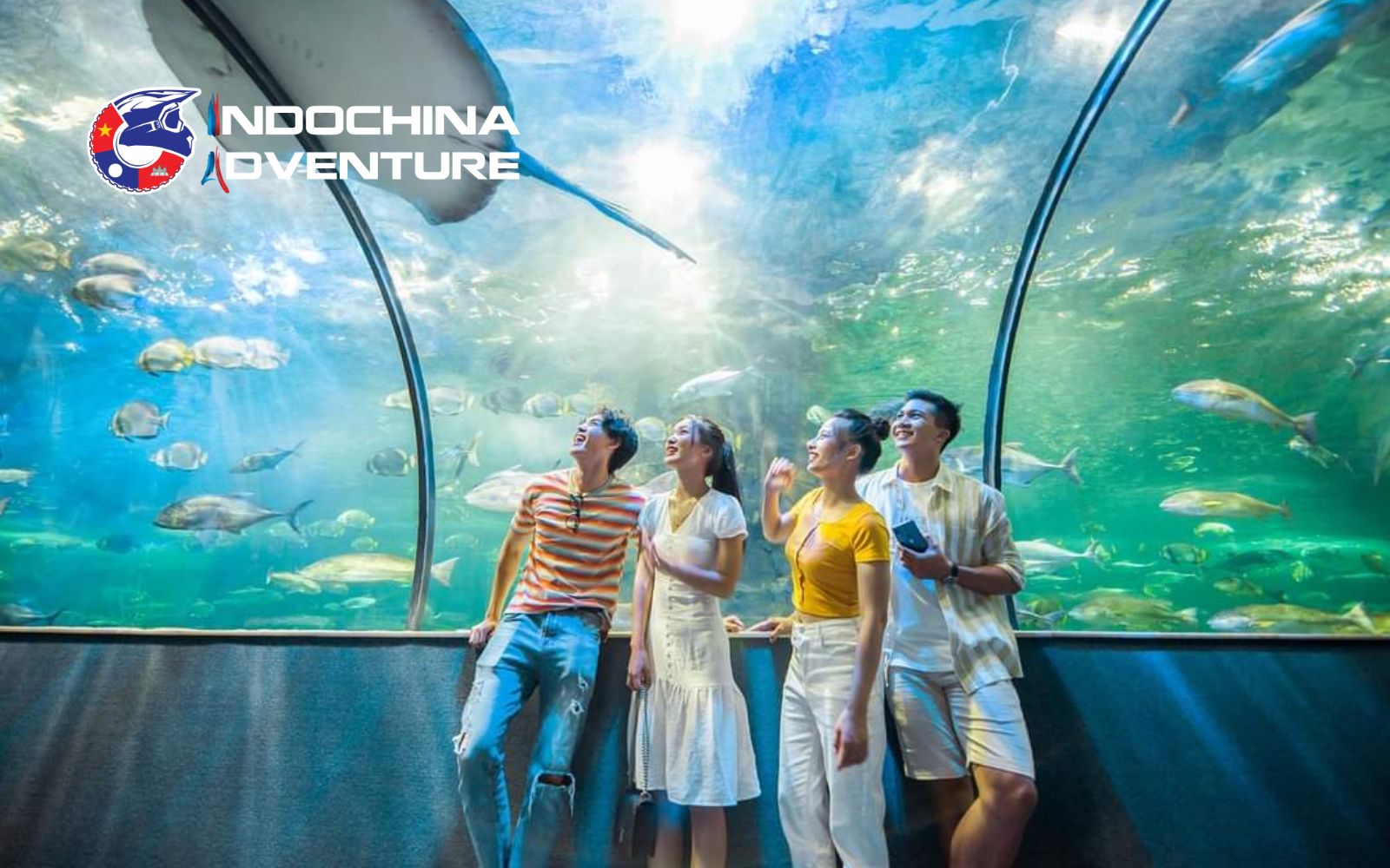 One of Hanoi attractions is Times City Aquarium