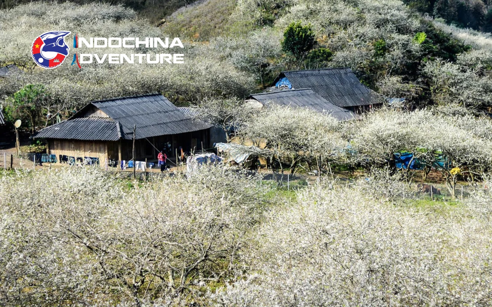 Each season paints Moc Chau with different hues