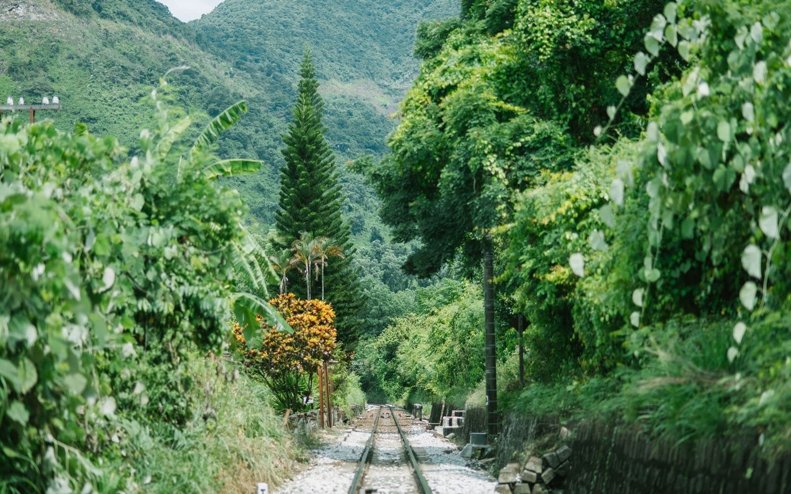 Bac Hai Van train station - Must-visit place when joining motorbike Hai Van pass tour