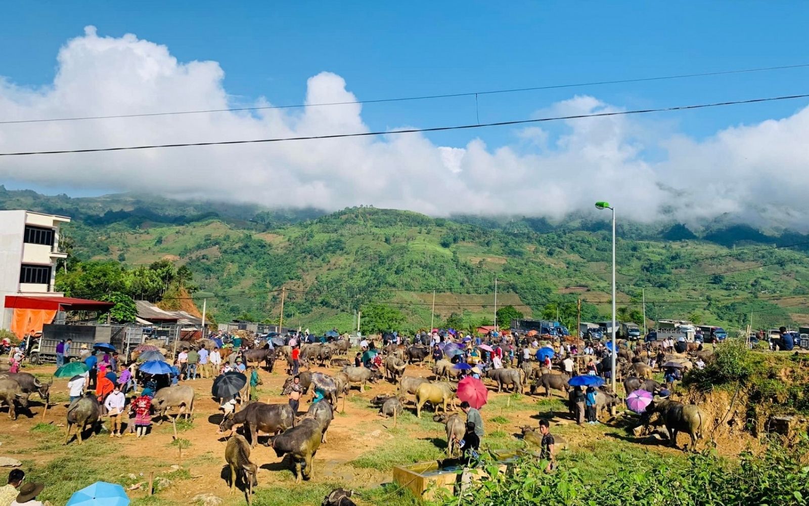 Coc Ly brings you close to the unique daily life of highland ethnic communities