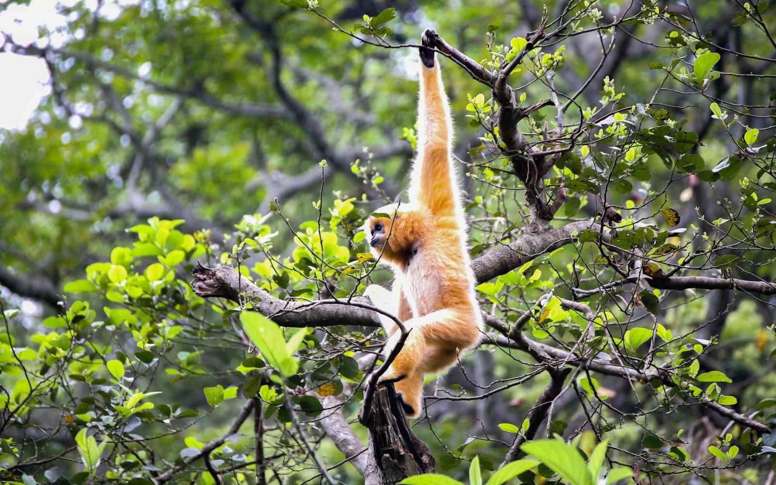 Enter Vietnam’s oldest national park filled with rich biodiversity