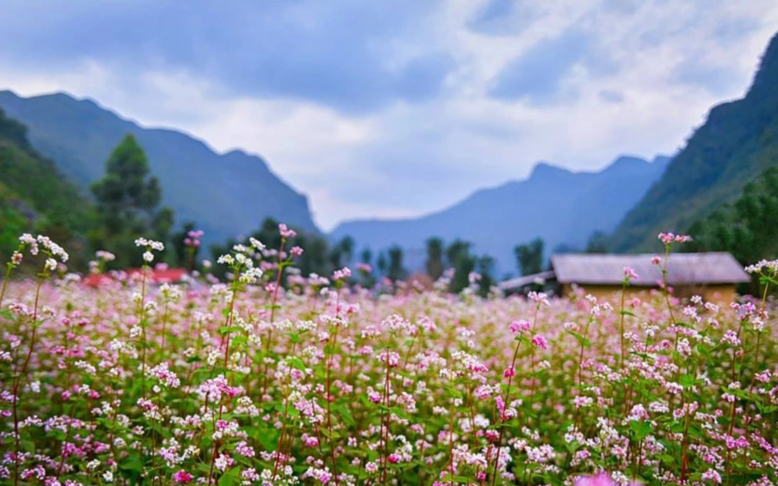 Ride through blossoming valleys and enjoy cool, fresh air