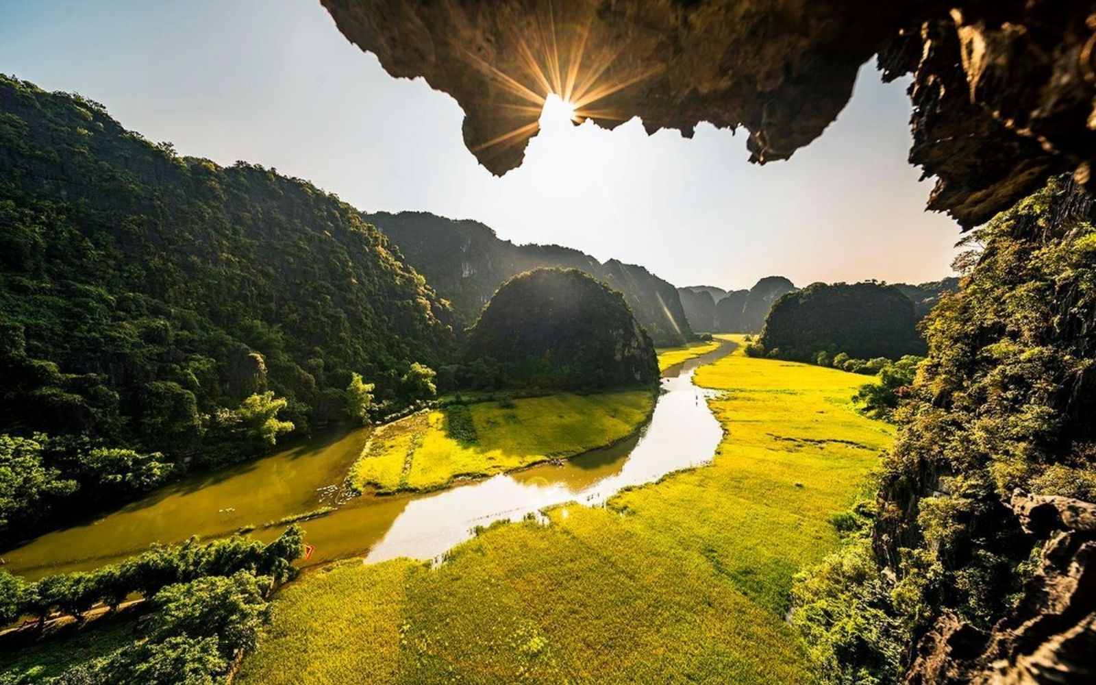 Admire golden rice paddies and peaceful river views beneath limestone peaks