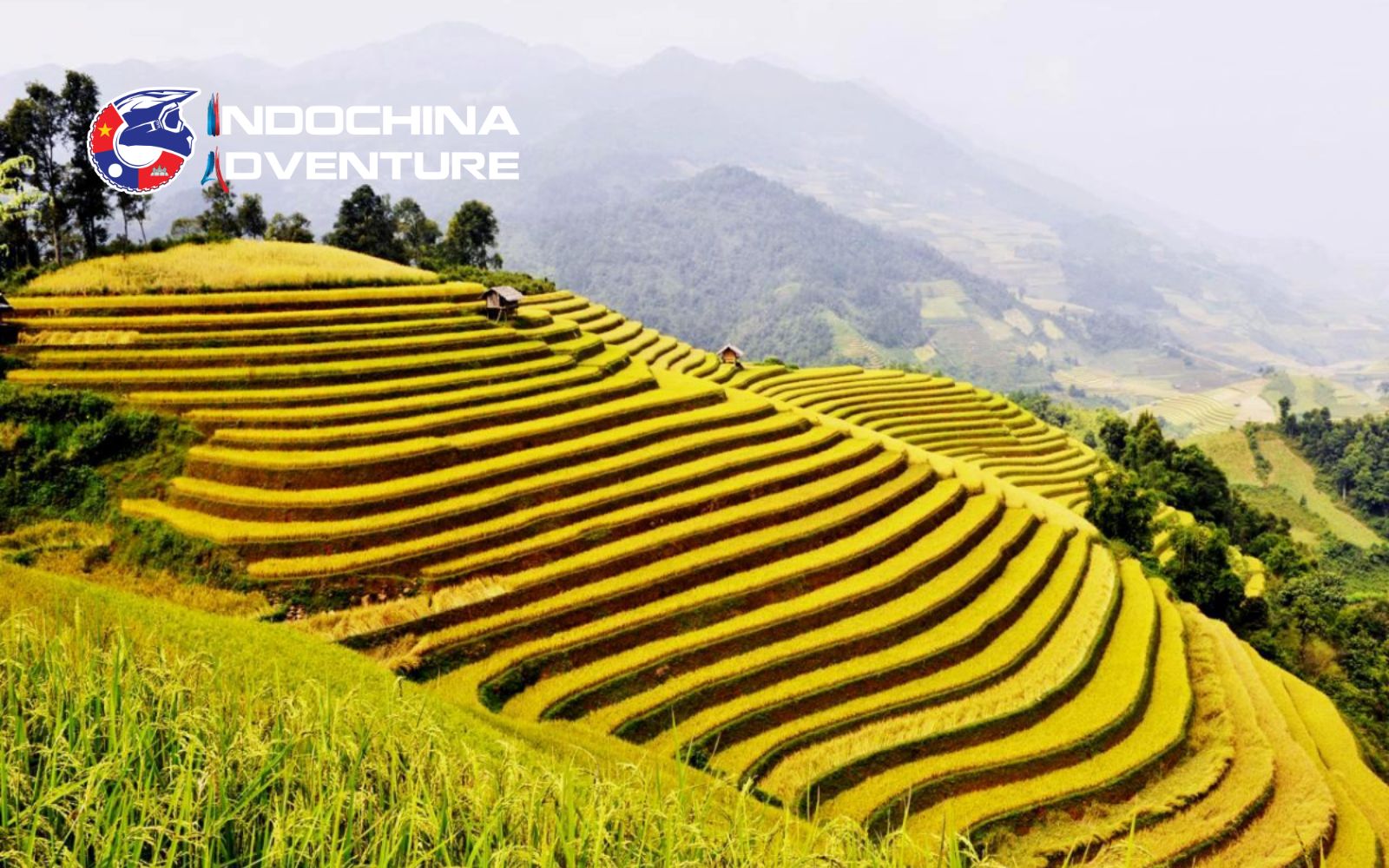 Golden rice terraces and clear skies mark the best time of year to admire the beauty Ha Giang Autumn is one of the best time to visit Ha Giang loop Vietnam of the year