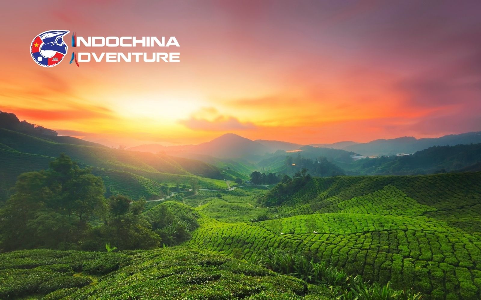 Witness Cameron Highlands when joining Malaysia Motorbike Tour