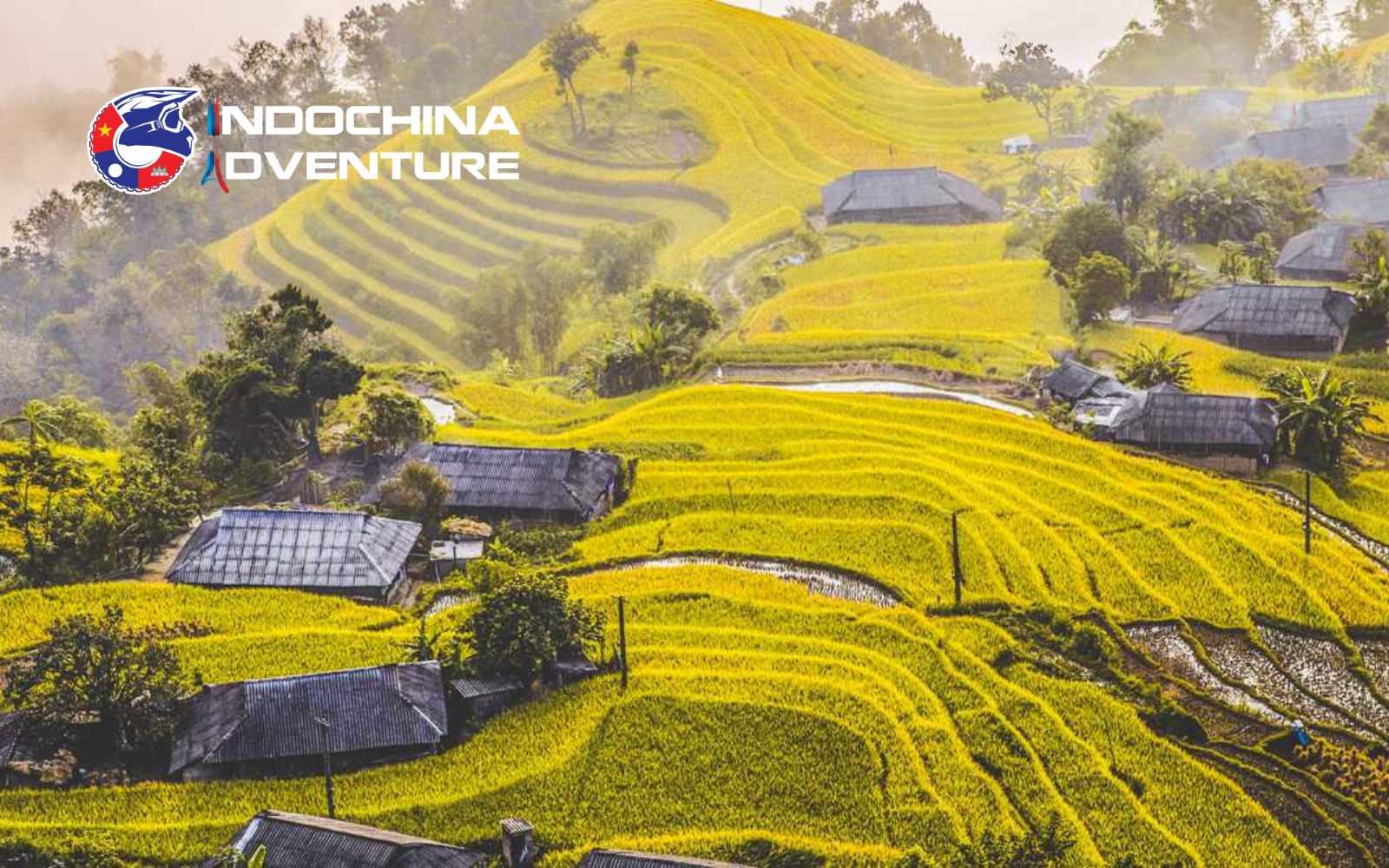 Explore vibrant rice fields and meet ethnic communities in Hoang Su Phi Explore vibrant rice fields and meet ethnic communities in Hoang Su Phi