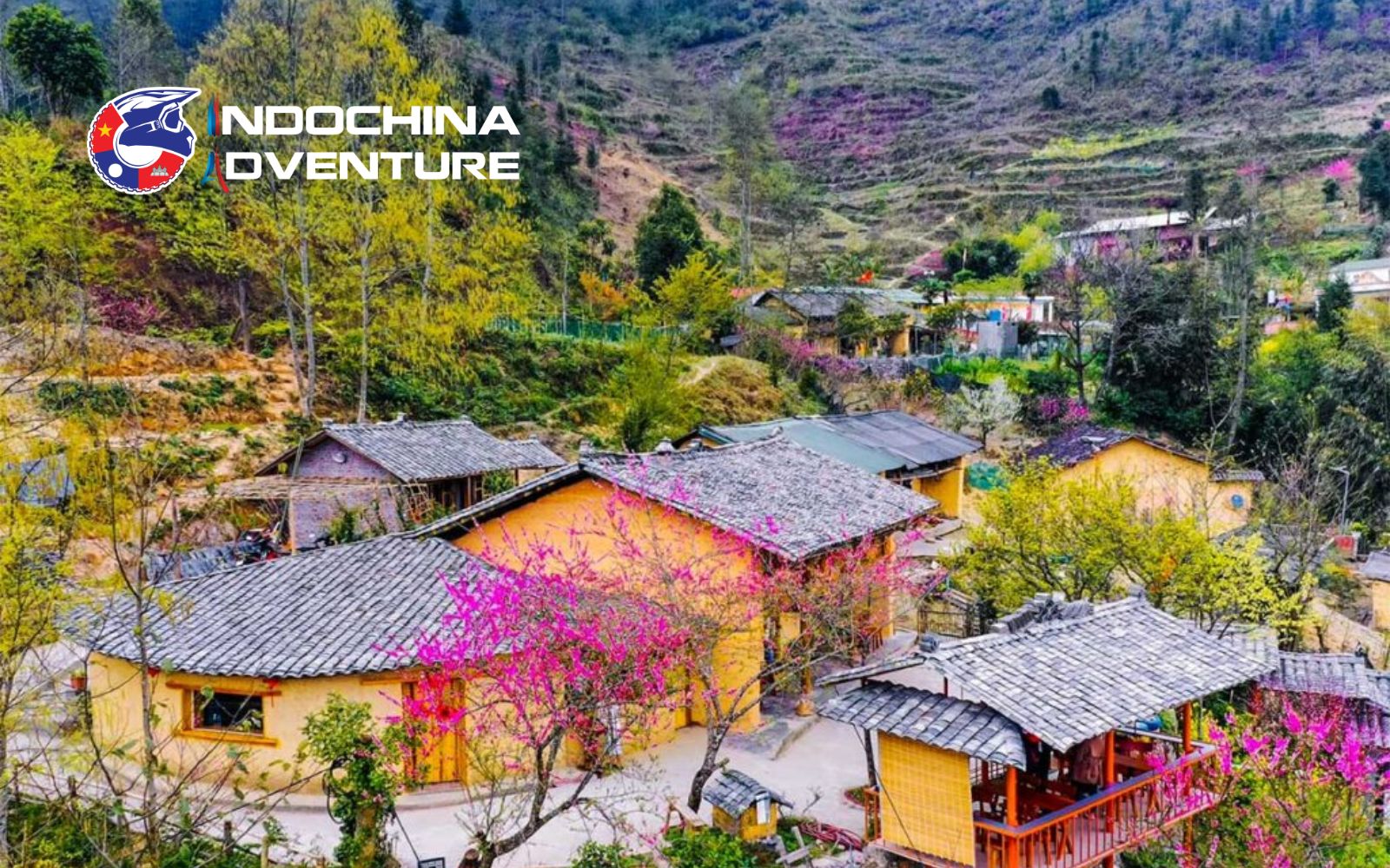 Flower blossoms and mild weather make this a dreamy season on the Ha Giang Loop Visit in spring with flower blossoms and mild weather