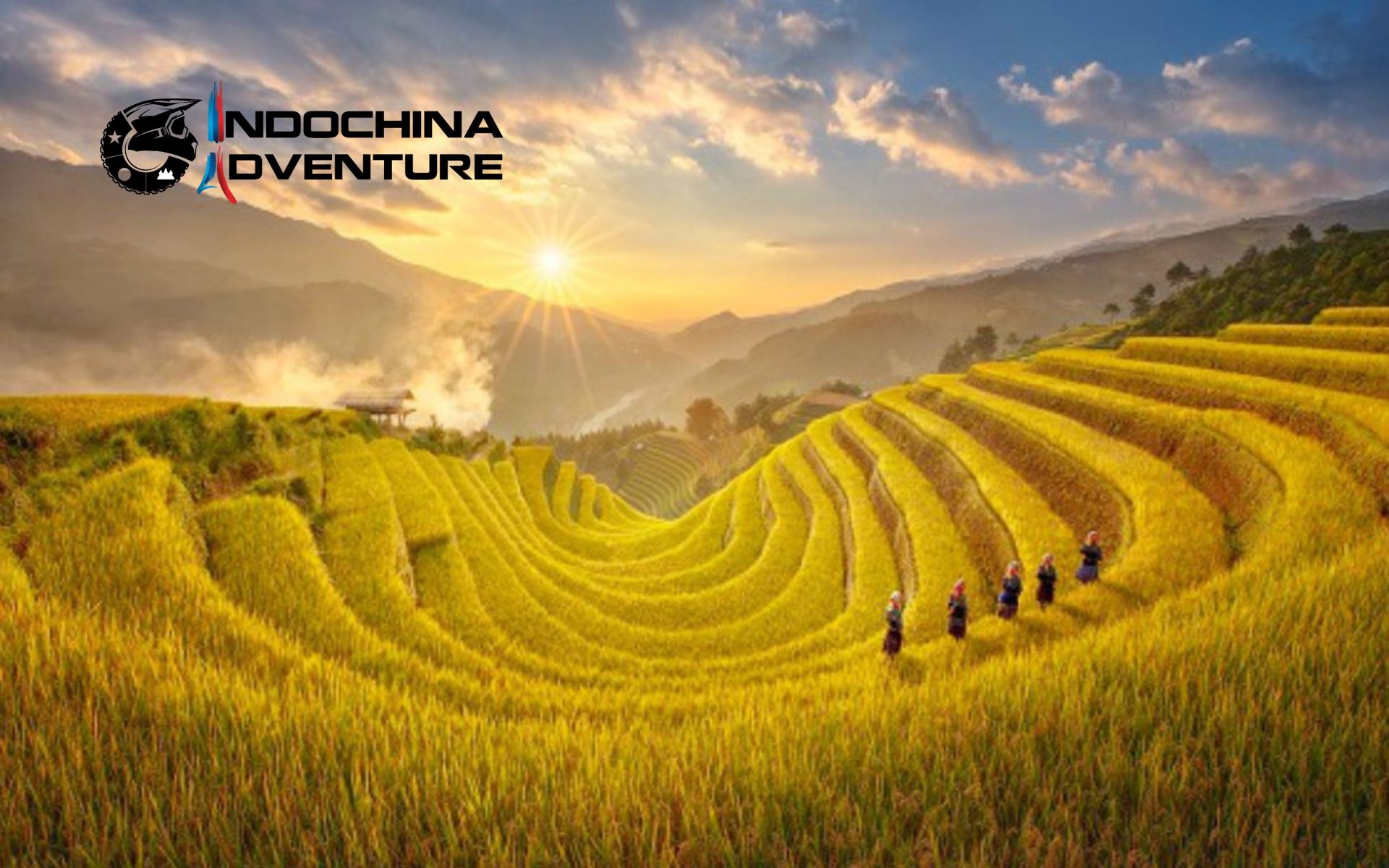 Golden rice terraces and buckwheat flowers create the most stunning landscapes Meo Vac loop time to visit in autumn