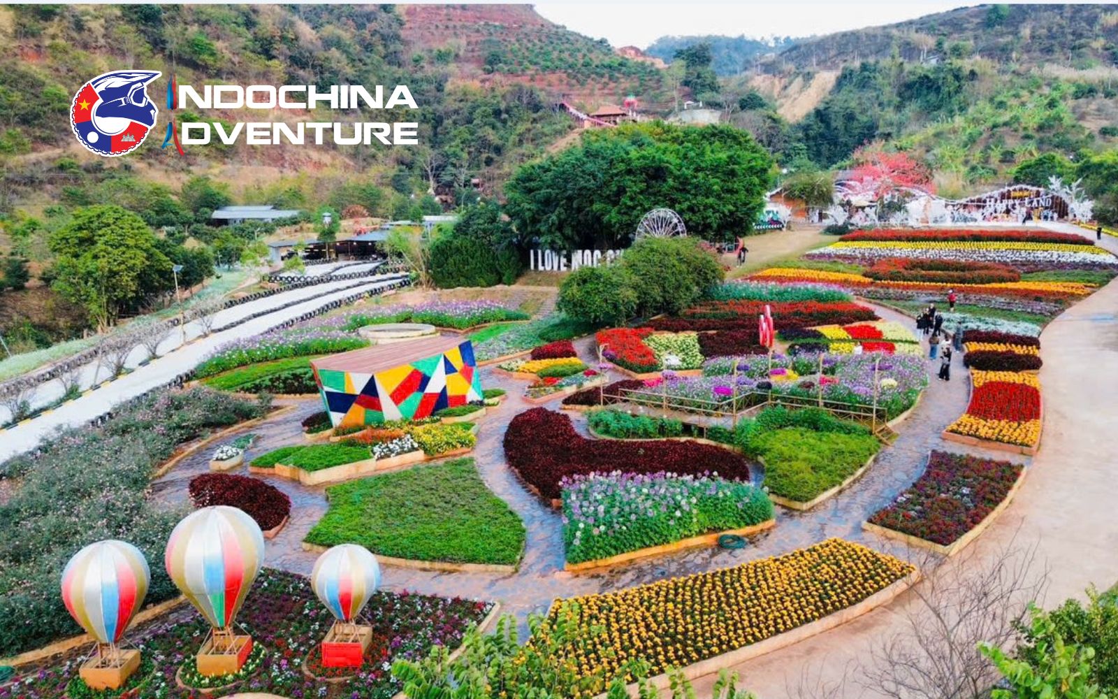 Enjoy vibrant flower gardens and colorful photo spots at Moc Chau Happy Land Colorful flower park, fun Moc Chau tourist attraction