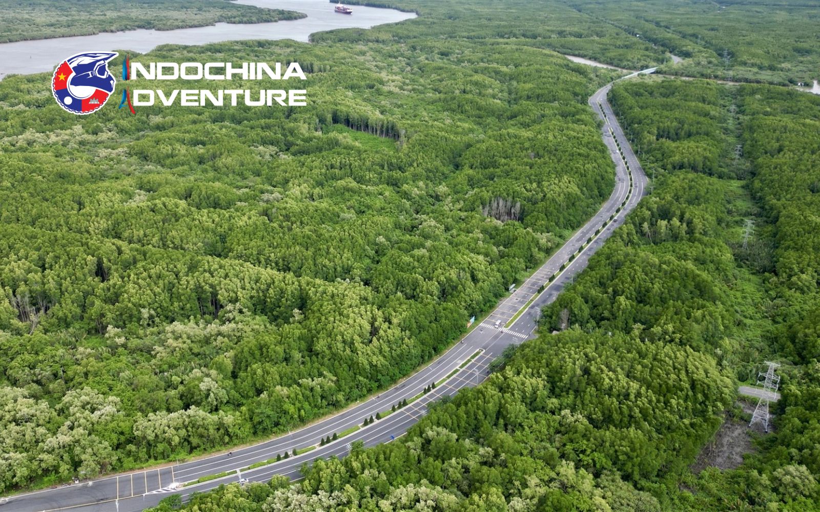 A journey along the Can Gio mangrove forest road unveils its wild and raw beauty