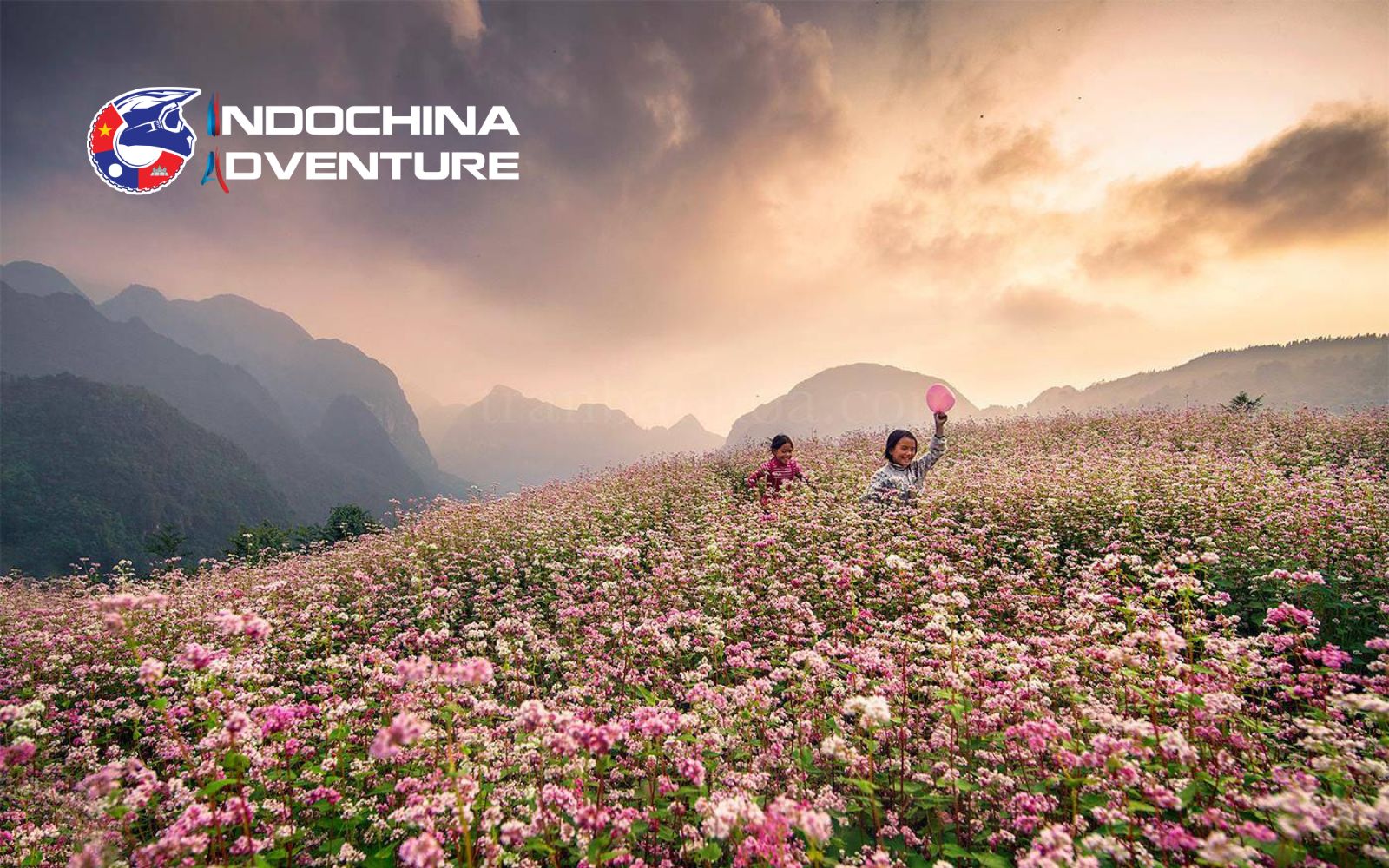 Scenic viewpoints overlooking vast pink fields on ancient karst terrain Scenic viewpoints overlooking vast pink fields on ancient karst terrain