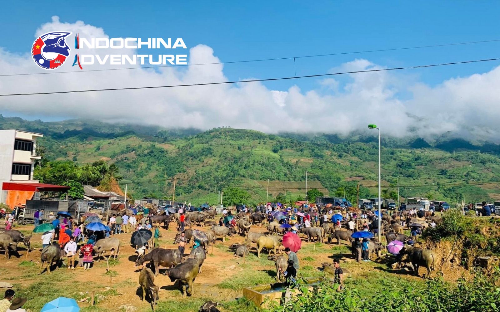 Coc Ly brings you close to the unique daily life of highland ethnic communities