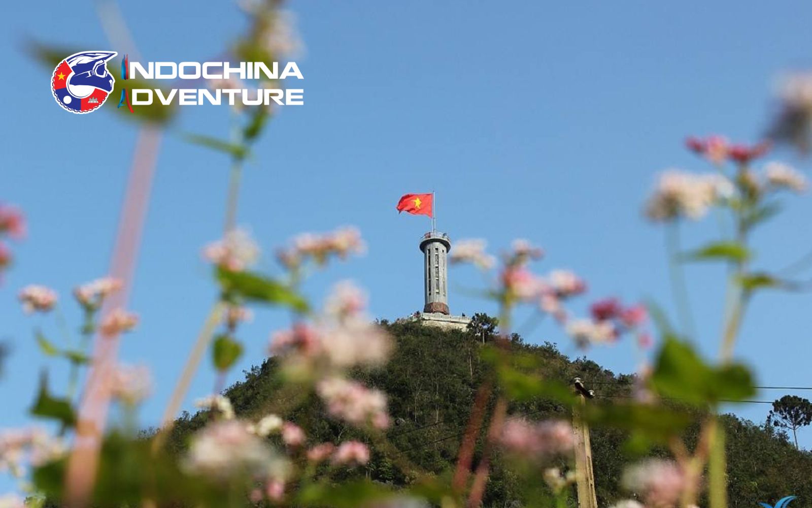 One of the most beautiful areas for buckwheat flowers Ha Giang One of the most beautiful areas for buckwheat flowers Ha Giang