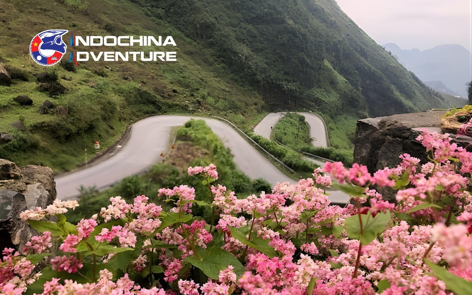 Peaceful buckwheat corners ideal for slow travel photography Peaceful buckwheat corners ideal for slow travel photography